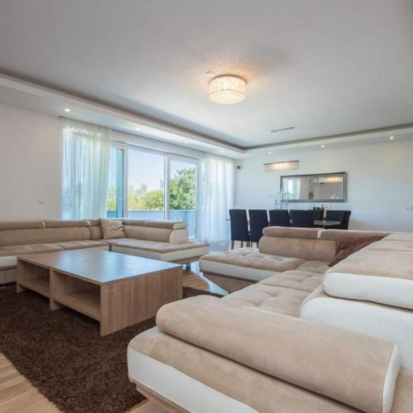 Living room, Villa Rosa , Villa Rosa  Pomer